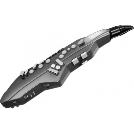 Aerófono digital Roland GO AE05