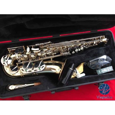 Selmer Aristocrat AS600