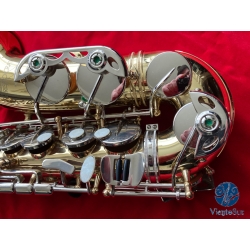 Selmer Aristocrat AS600